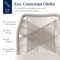 Best Choice Products Set of 2 Indoor/Outdoor Aluminum Woven Side Dining Chairs w/ All-Weather Rope